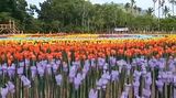 Z odpadků tulipány. Filipínská zahrada jich má tisíce