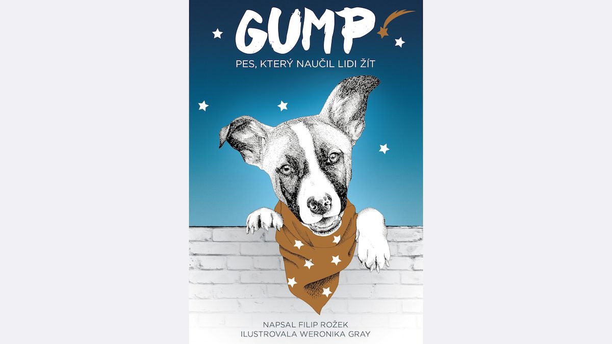 Kniha Gump - pes, který naučil lidi žít - vypráví příběhy týraných a opuštěných psů a zároveň mnohým z nich pomáhá. Výtěžek z knihy putuje na Azyl Tylda, Srdeční záležitosti nebo Pro psí voči, jež pomáhají těmto psům, Knihy Dobrovský 249 Kč