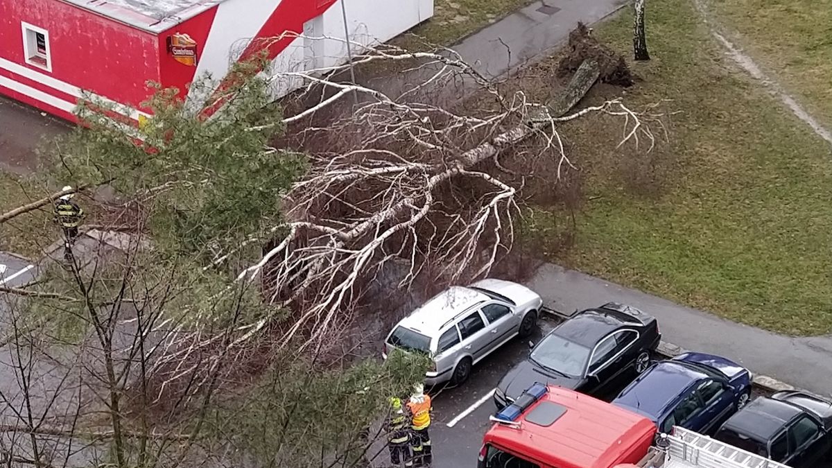 Stromy padaly i v České Lípě