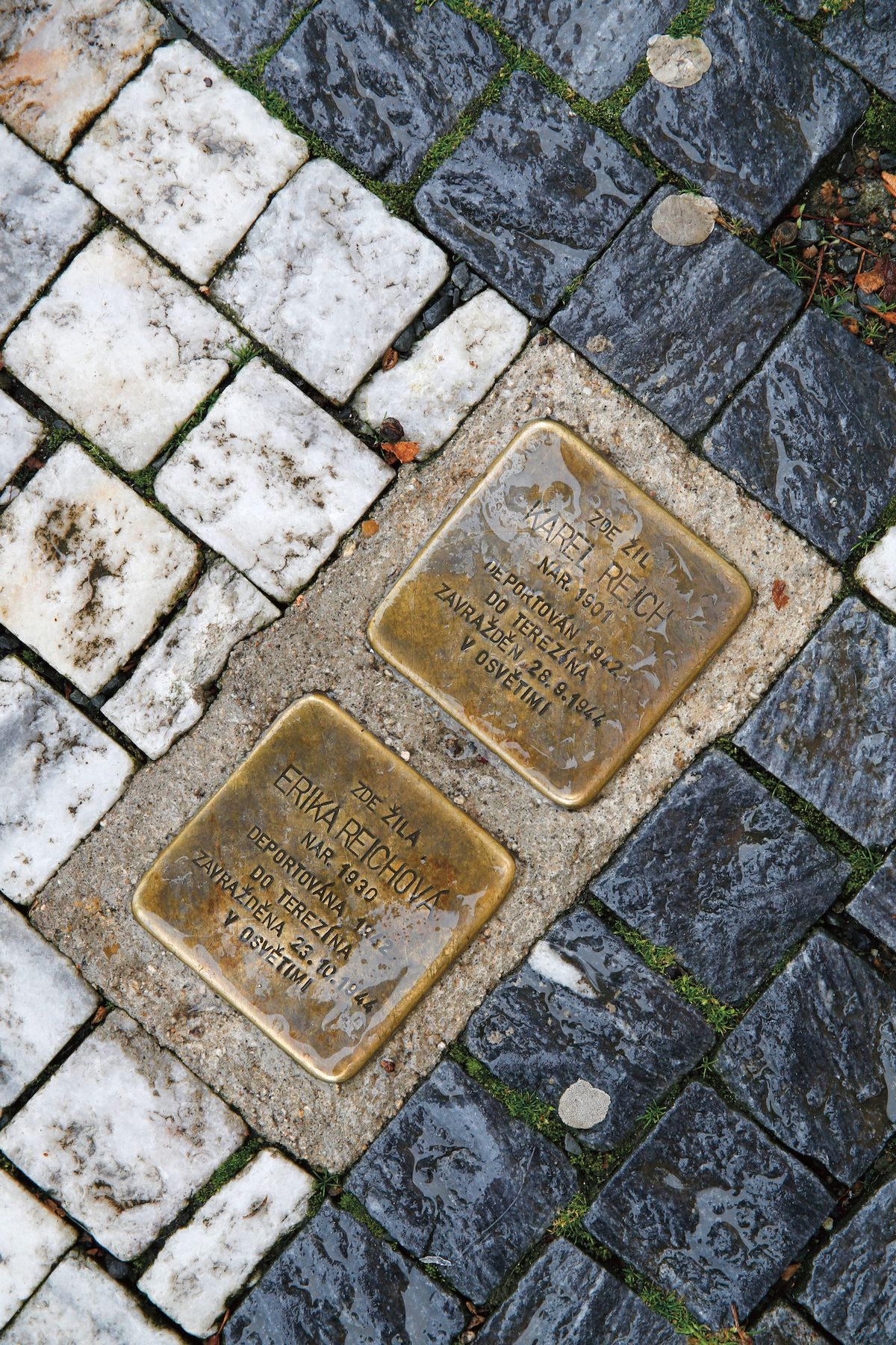 Kameny zmizelých na Masarykově náměstí