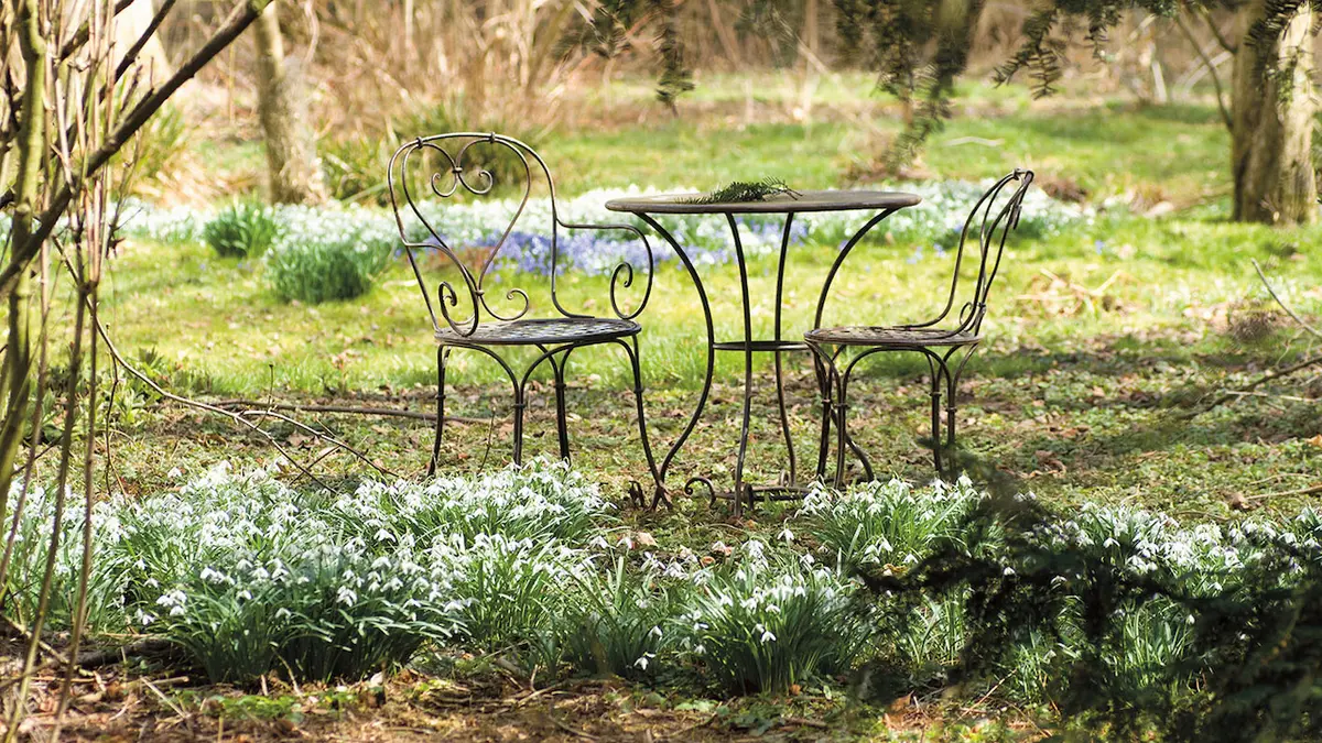 dvanact napadu pro dvanact mesicu v zahrade novinky cz