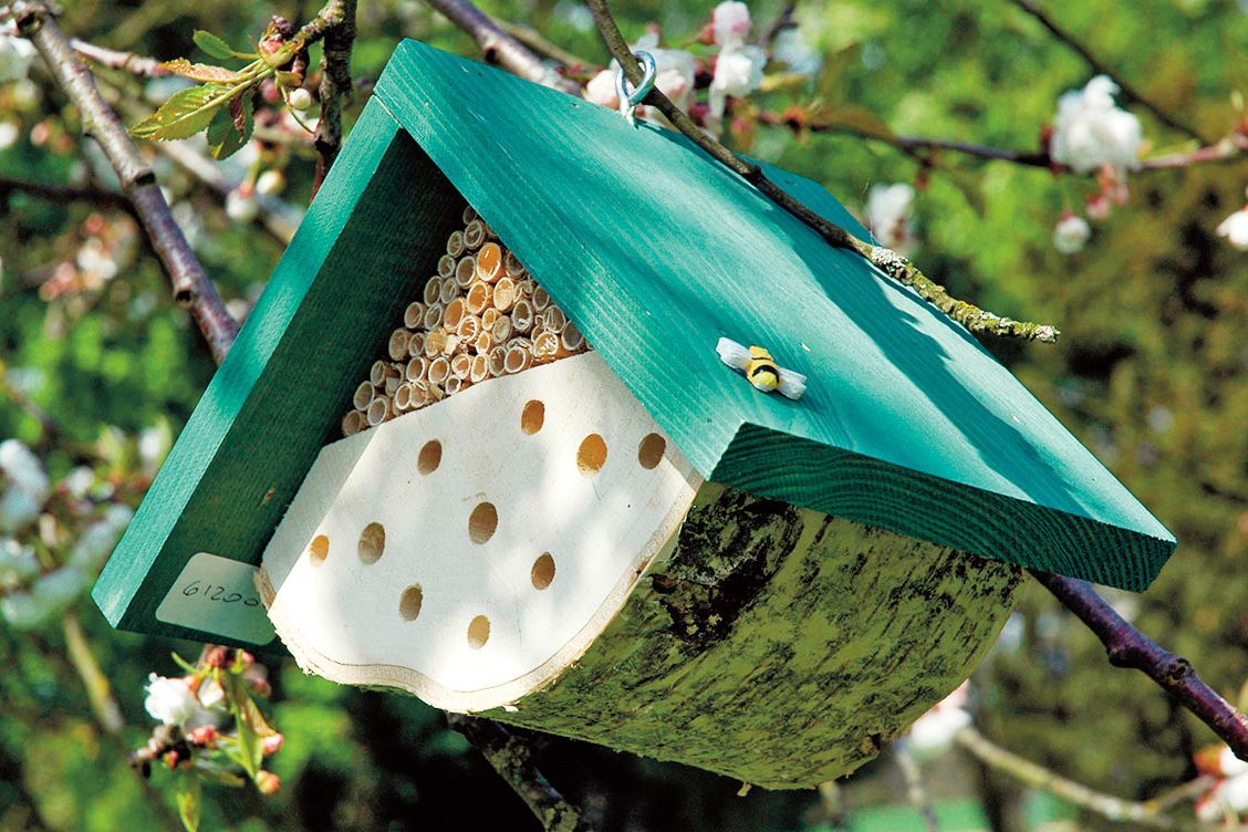 Hotýlek z neošetřeného listnatého dřeva s vyvrtanými otvory, rákosem, stříškou je vhodný pro hnízdění divokých včel. Cena 229 Kč. 