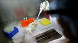 Němci rozjeli metodu skupinového testování na koronavirus