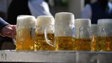 Pivovary chtějí zapsat českou pivní kulturu na seznam UNESCO