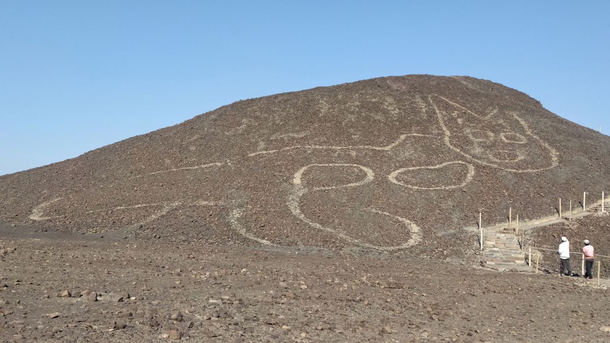 Geoglyf s obří kočkou na planině Nazca v Peru