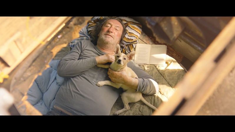 Ve filmu o toulavém psovi a hledání štěstí hrají Polívka, Plodková, Chýlková či Krajčo