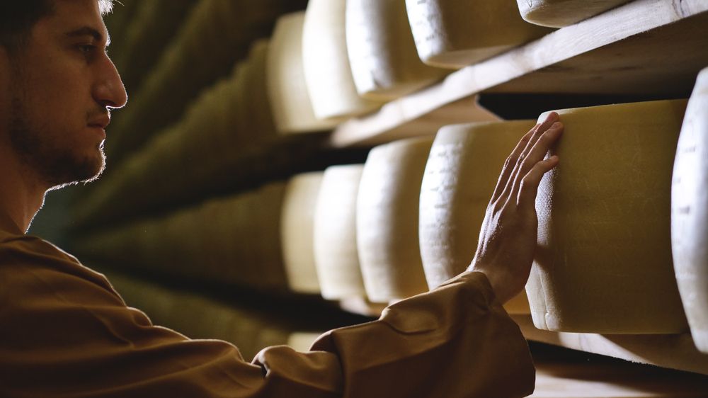 Italská firma ručí za třičtvrtěmiliardový úvěr bochníky sýra