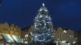Staroměstské náměstí v Praze rozzářil vánoční strom
