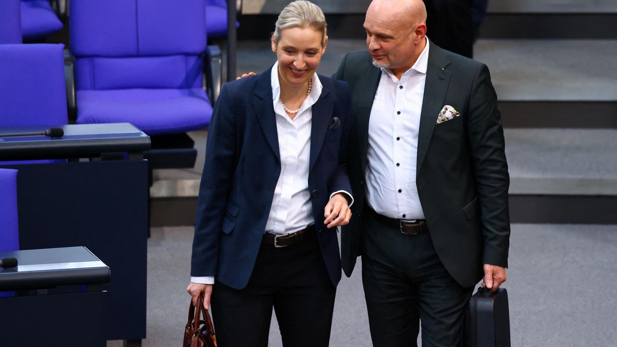 AfD nadhodila možnost „dexitu“