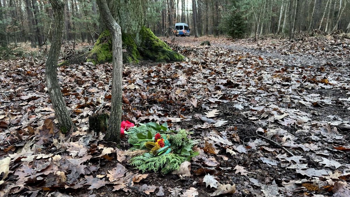 S dezinformací ohledně národnosti pachatele střelby v Klánovicích se setkala pětina lidí