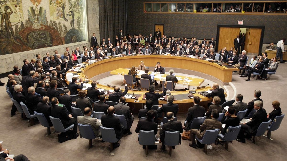 OSN nemůže ověřit okolnosti pádu ruského letounu, zaznělo na zasedání Rady bezpečnosti