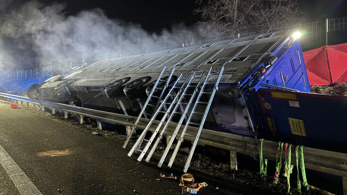Nehoda uzavřela dálnici D8. Boural kamion se zvířaty