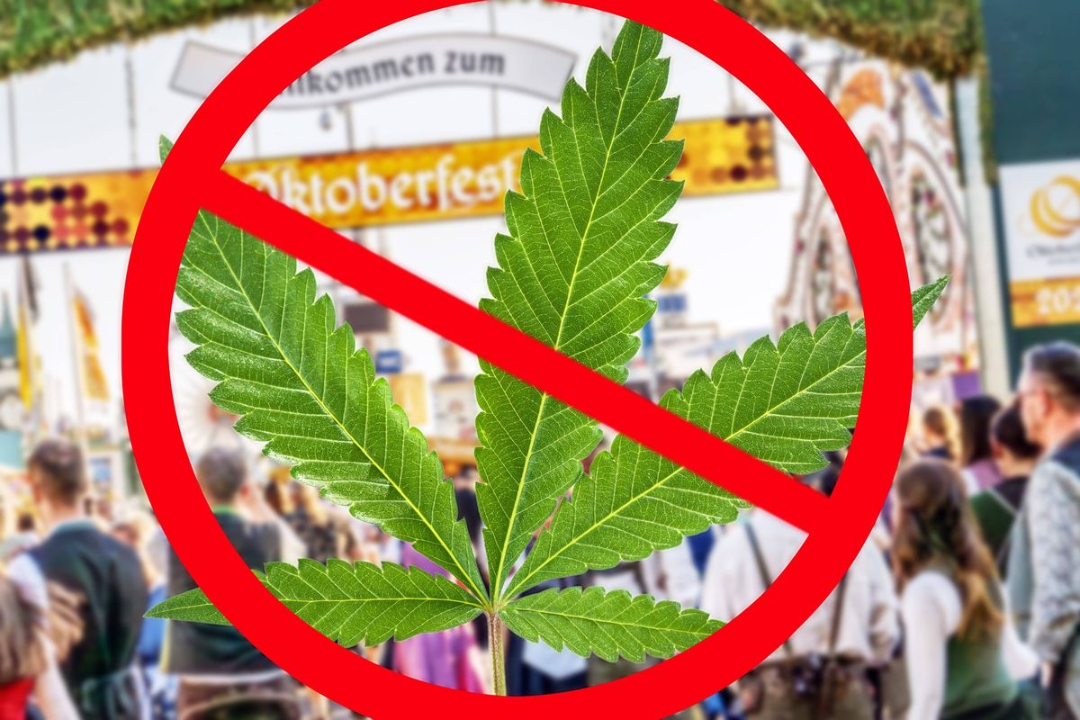 Německá legalizace marihuany se netýká Oktoberfestu