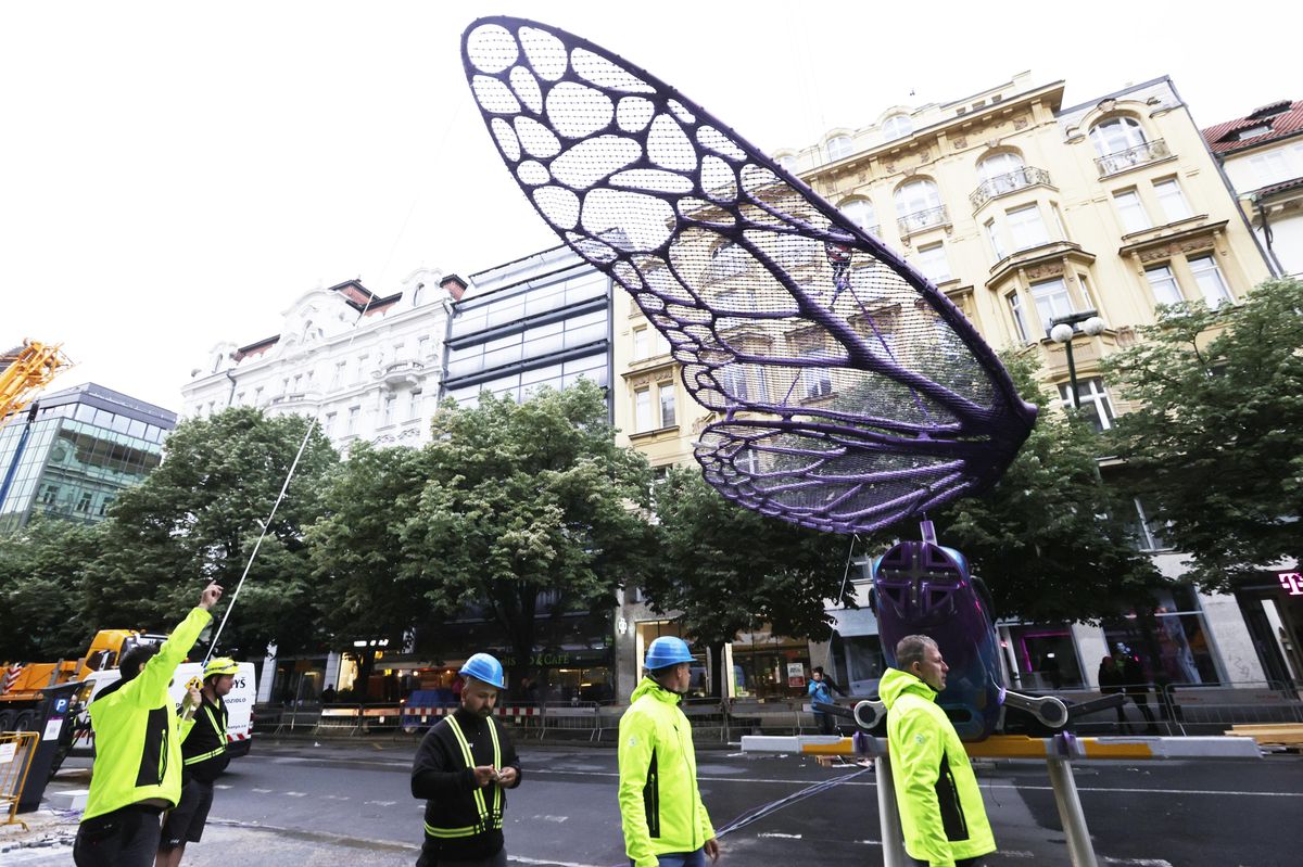 V Praze instalují plastiky motýlů Davida Černého