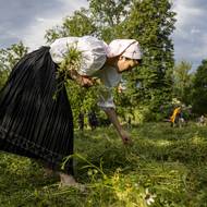Pokud někdo přišel do Stromovky poprvé …