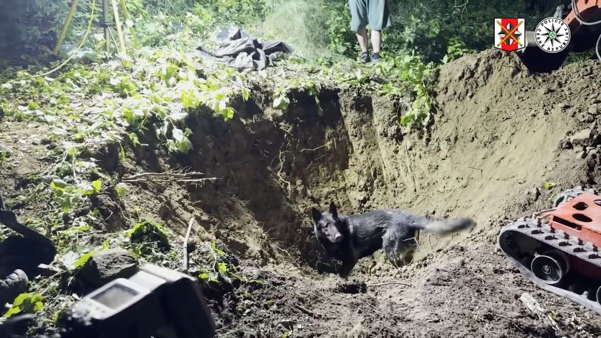 Kriminalisté objasnili osm let starou vraždu na Ústecku. Pozůstatky našli v lese dva metry pod zemí