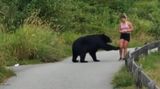 Zvědavý medvěd šťouchnul do běžkyně