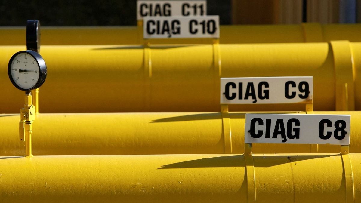 V příštích dnech mohou zkrachovat další dodavatelé plynu, varuje Praha