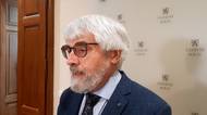 Vláda navrhla vyřadit ústavního soudce Šámala z procesu o kompetenční žalobě