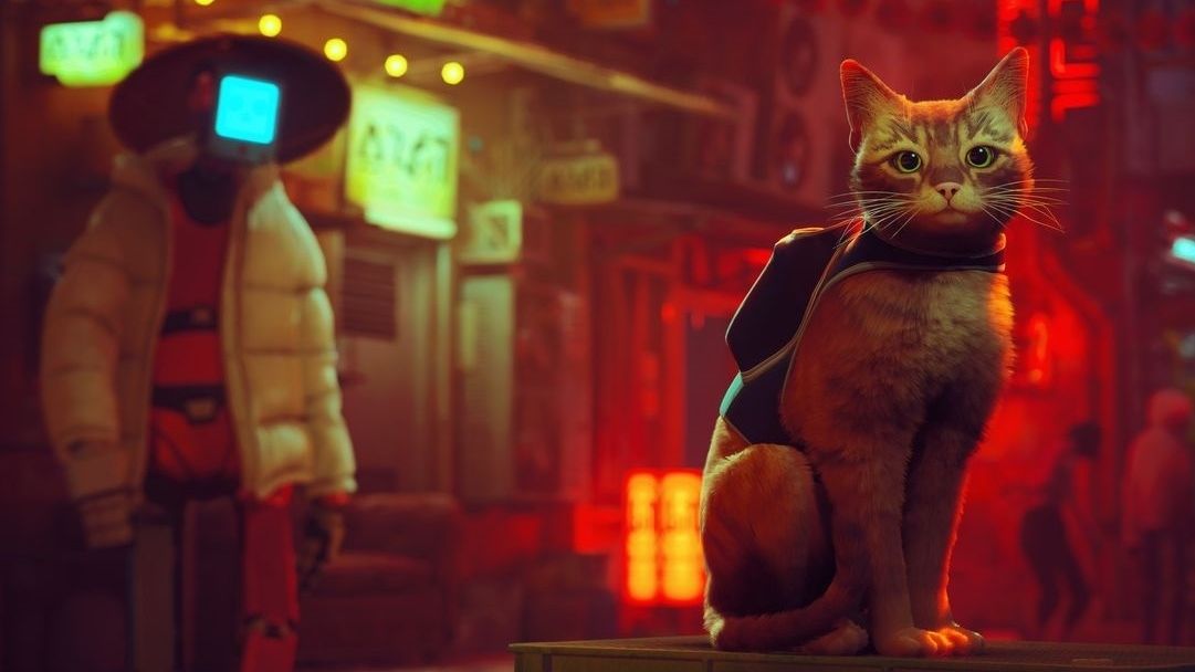 Kočičí hrdina z videohry Stray přináší pomoc pro skutečné kočky