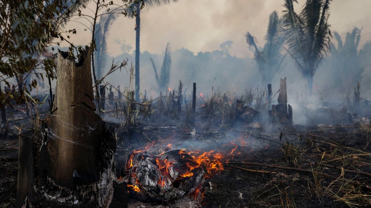 Amazonský prales v Brazílii postihl v září nejvyšší počet požárů od roku 2010