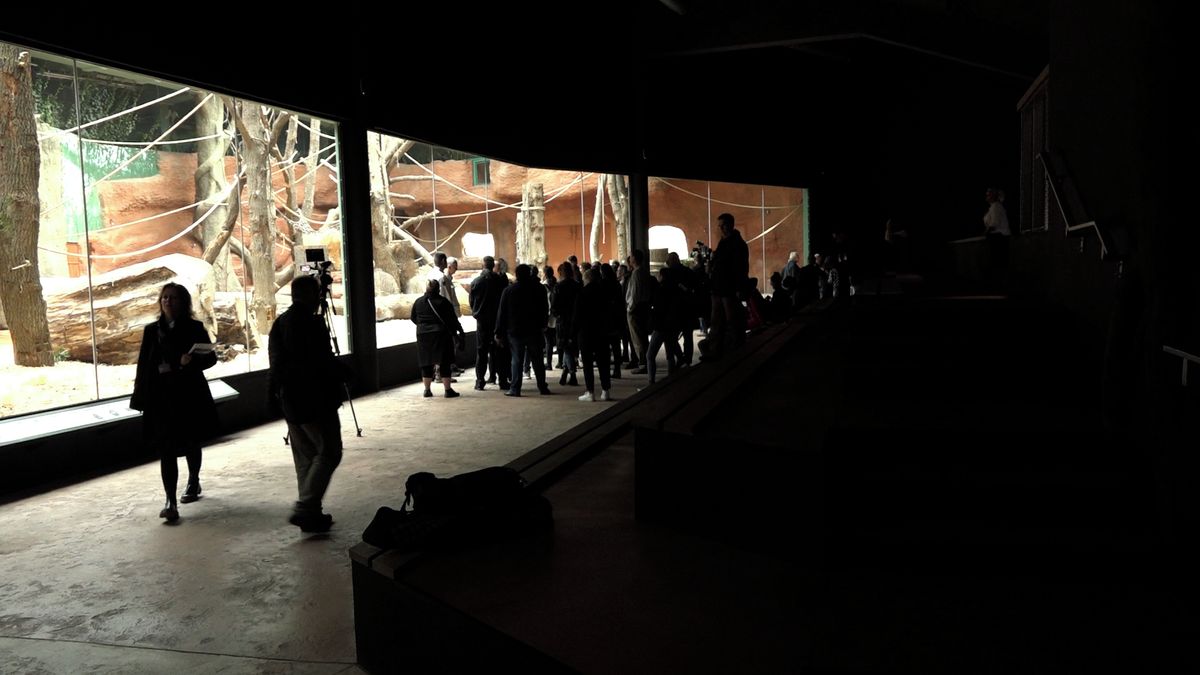 Firma s vazbami na Piráty si na vztahy v pražské zoo neposvítí. Magistrát už vybral náhradu