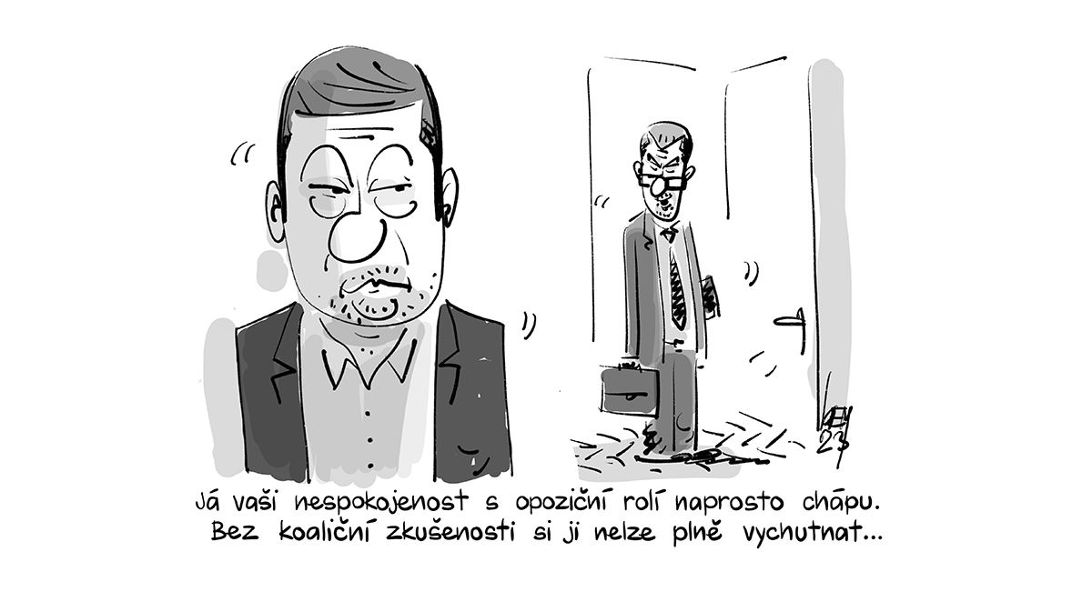 KEMEL: Koaliční zkušenost