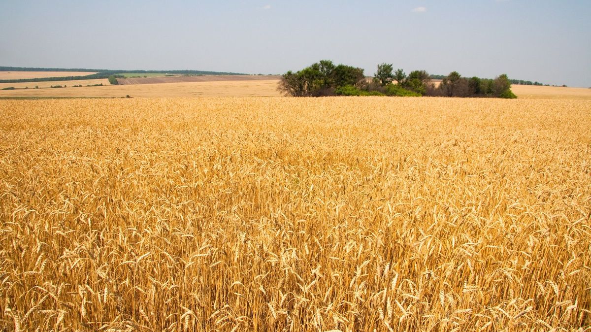 Zemědělské produkty z Ukrajiny se na Slovensko nedostanou až do konce roku
