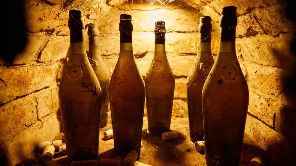 Lahev vína ležela přes 40 let ve sklepě, v aukci se prodala za 2,4 milionu