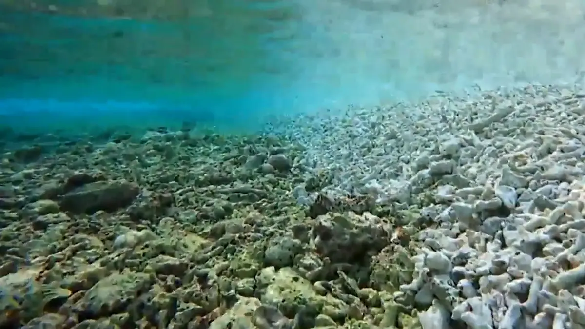 Filipíny zveřejnily záběry zničených korálových útesů u Palawanu a ukázaly na viníka