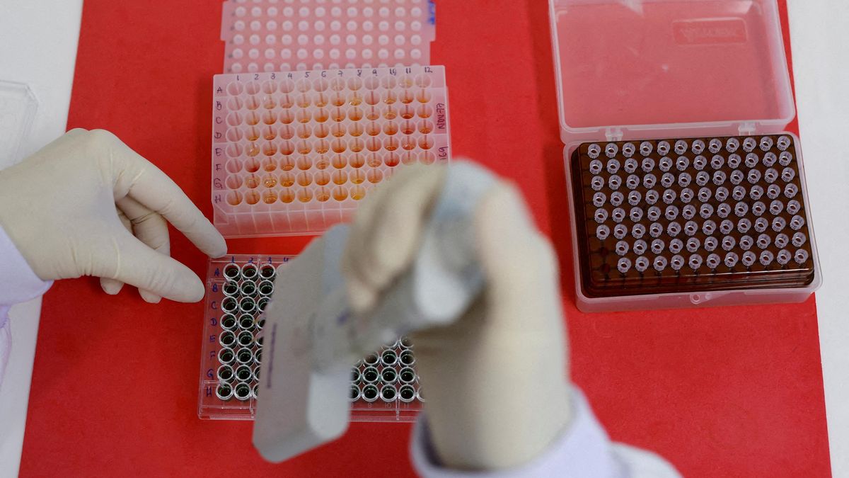 USA, Kanada i Evropa shánějí vakcínu proti nové variantě ptačí chřipky