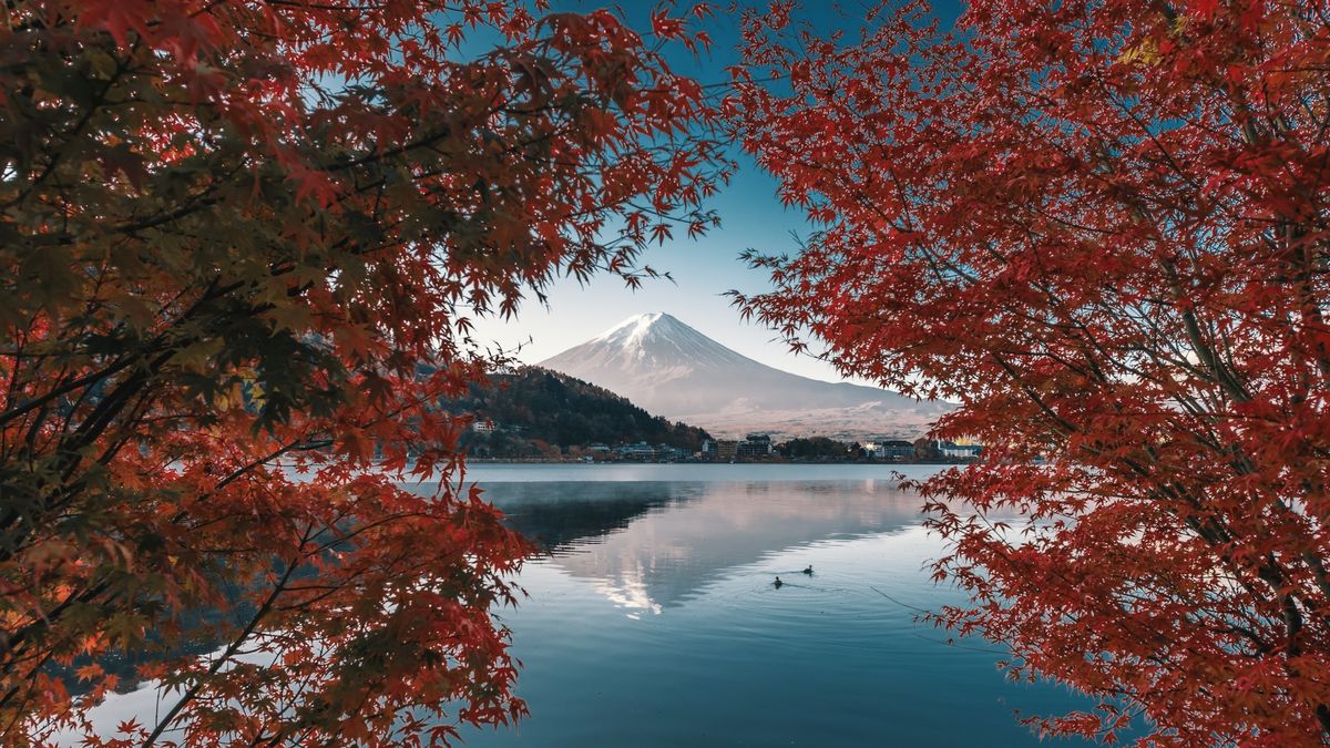 Japonské město zablokuje výhled na horu Fudži. Chce potrestat nevychované turisty