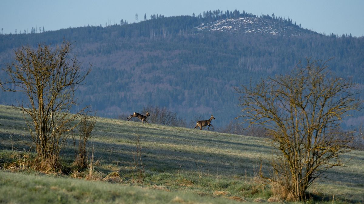 Bouřky, mrazíky i přes 20 stupňů. Týden nabídne pestrou škálu počasí