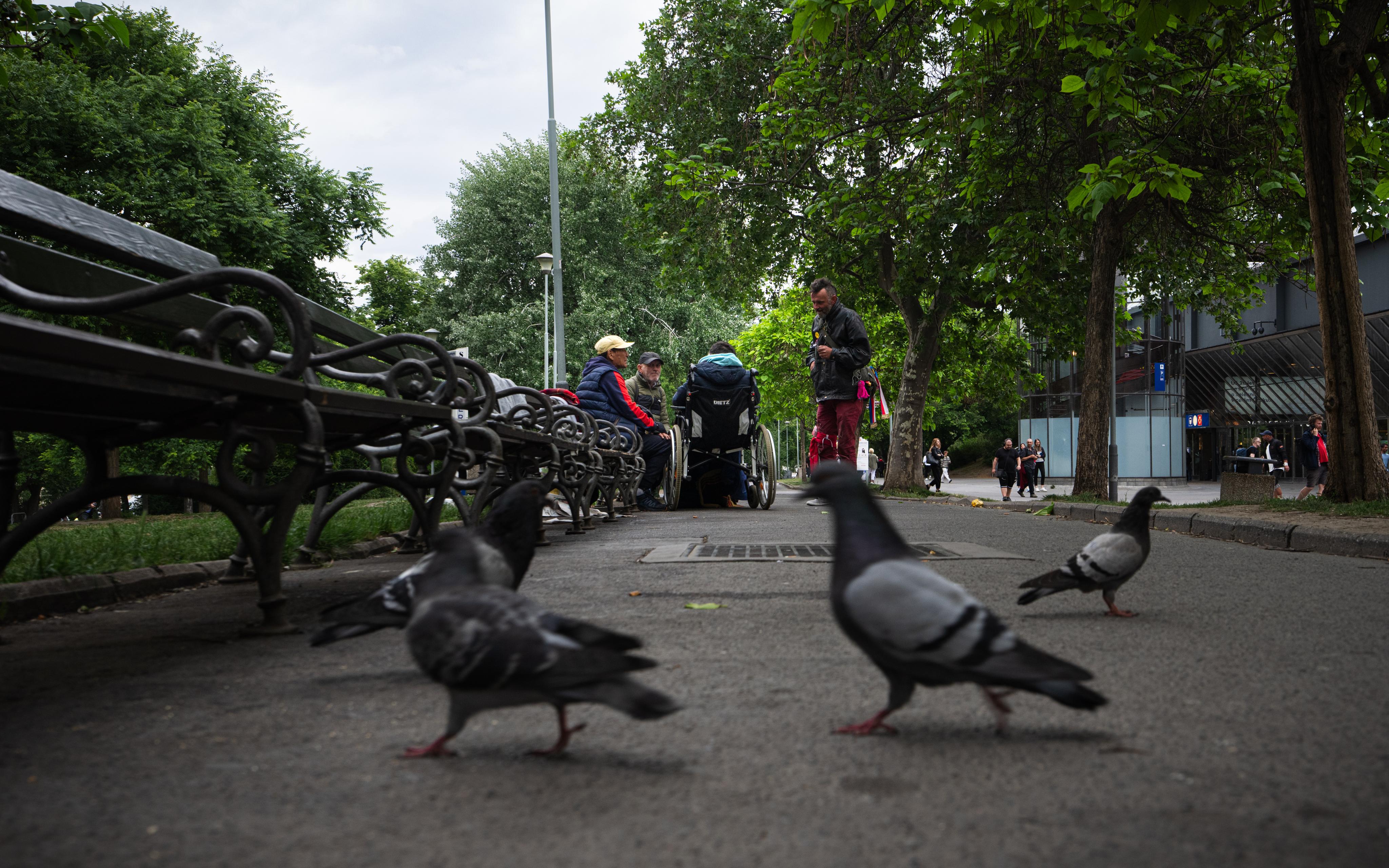 Cuộc Đào Tẩu Của Tù Nhân