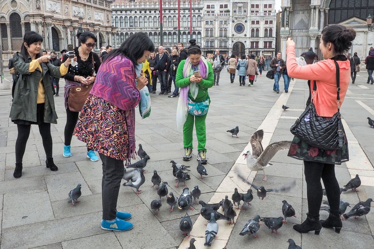 Benátky začaly vybírat poplatek od jednodenních turistů