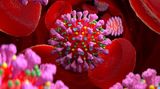Koronavirus je nemoc cév, vysvětluje studie