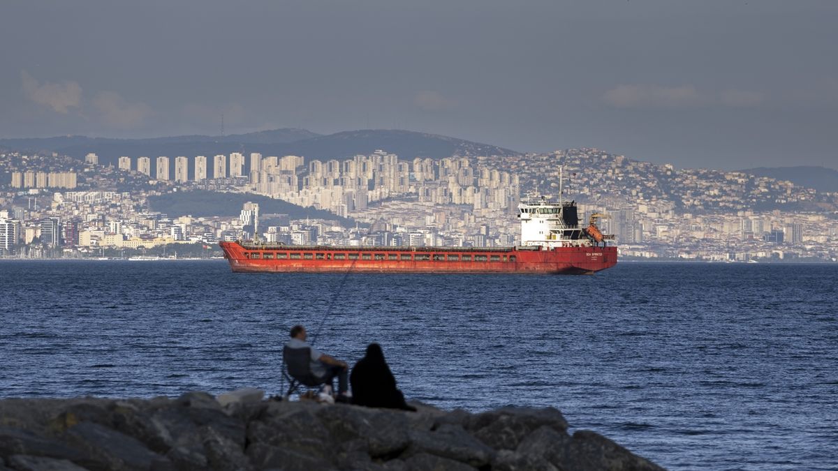 V Libanonu zakotvila syrská loď s ukradeným obilím z Ukrajiny