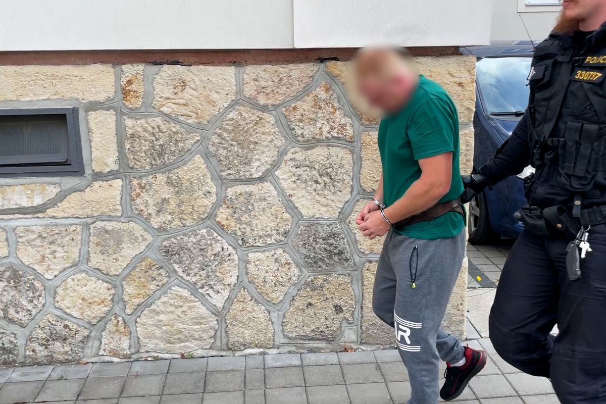 Policie obvinila Ukrajince za napadení manželky na Plzeňsku. Měl jí poranit genitálie petardou