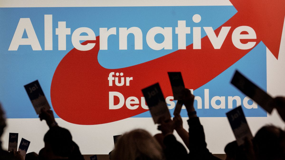 Německá kontrarozvědka zatím nebude AfD označovat za krajně pravicovou -  Novinky