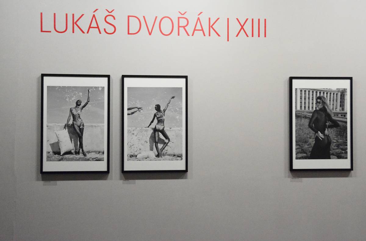 L. Dvořák - pohled do expozice