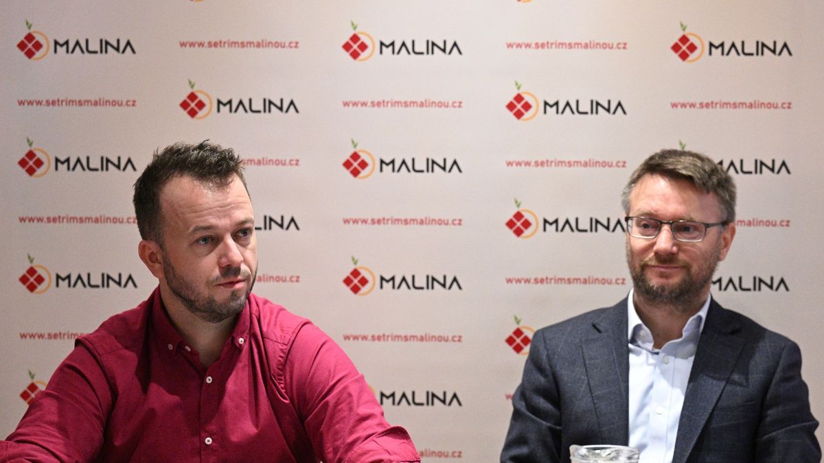 Analytik: Malina vybrala miliardu. Hrozí jí insolvence