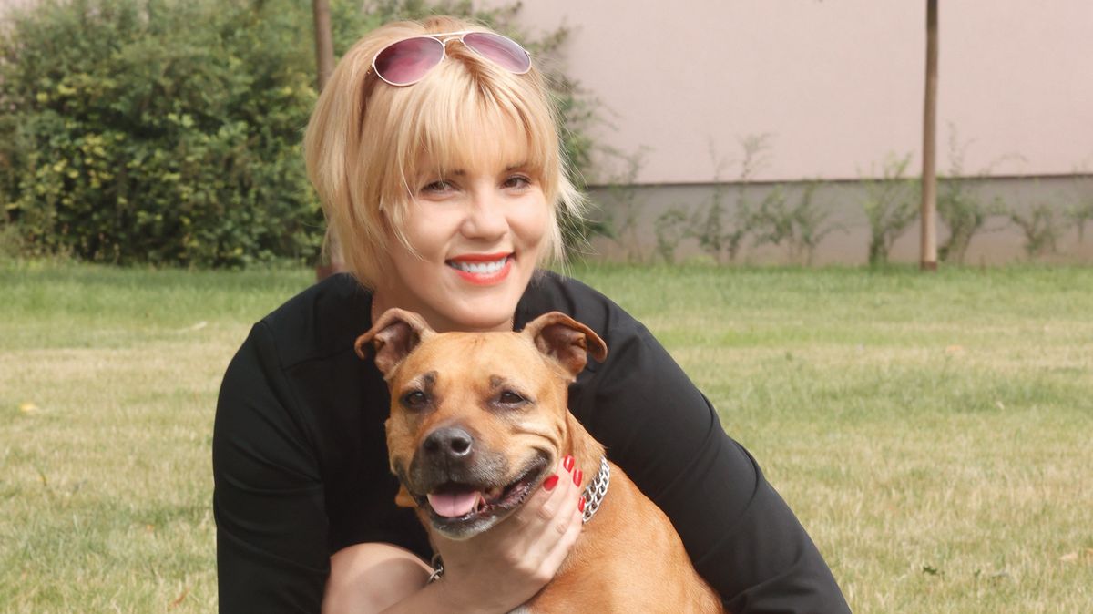 Psí psycholožka Dana Navrátilová: Řidičák na psy by nebyl od věci