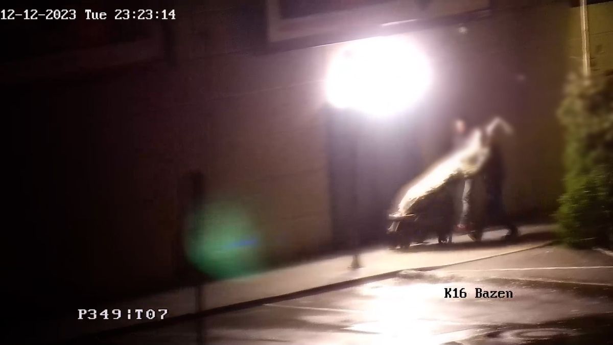 Recidivista na krádež vánočního stromku nestačil. Zavolal si kamaráda a odvezli ho na kočárku