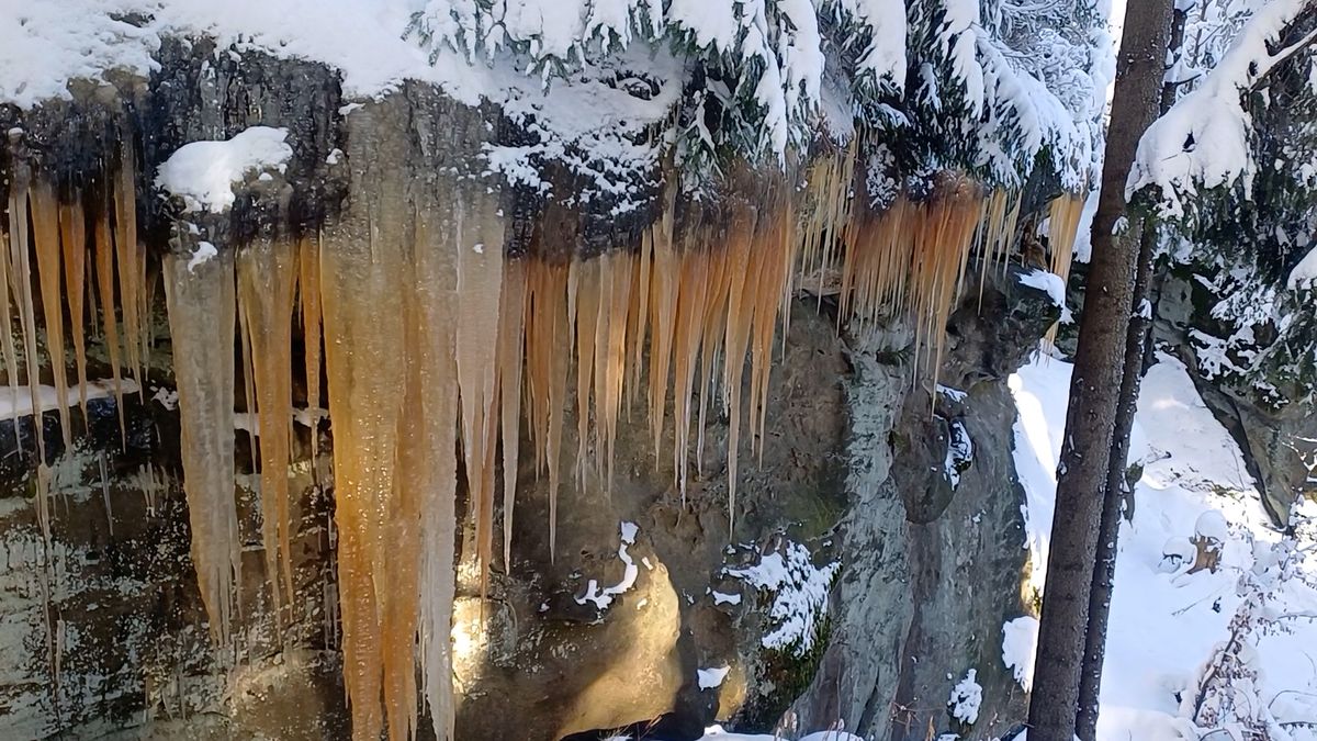 Unikátní ledopády v Pulčínských skalách. Barevné tóny jim dává sněžná řasa