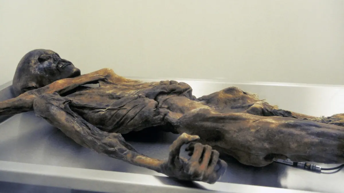 Ötzi stále trochu „žije“. Z kvasinek objevených v jeho mumii