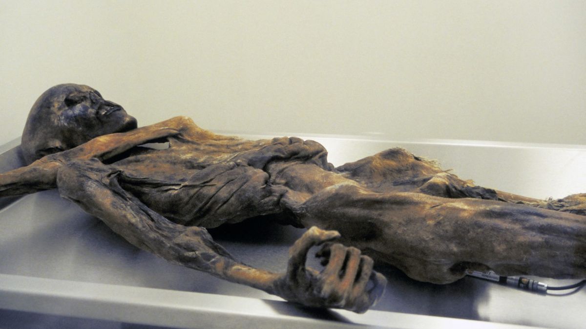 Nová podoba ledového muže? Ötzi byl snědý a plešatý, předky měl v dnešním Turecku