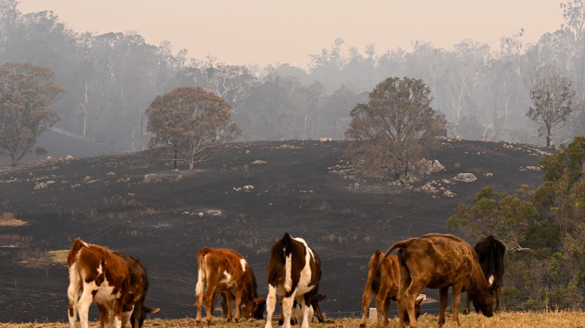 Hříčka přírody: ničivé požáry v Austrálii během jediného dne vystřídala hrozba bleskových povodní