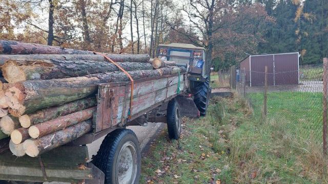 Devatenáctiletý muž těžil na Táborsku dřevo načerno, teď ho stíhá policie