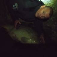 Kapr z Těrlické přehrady měří 125 centimetrů a váží 27,5 kilogramu.