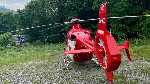 Žena na Opavsku se při pádu napíchla tříslem na větev